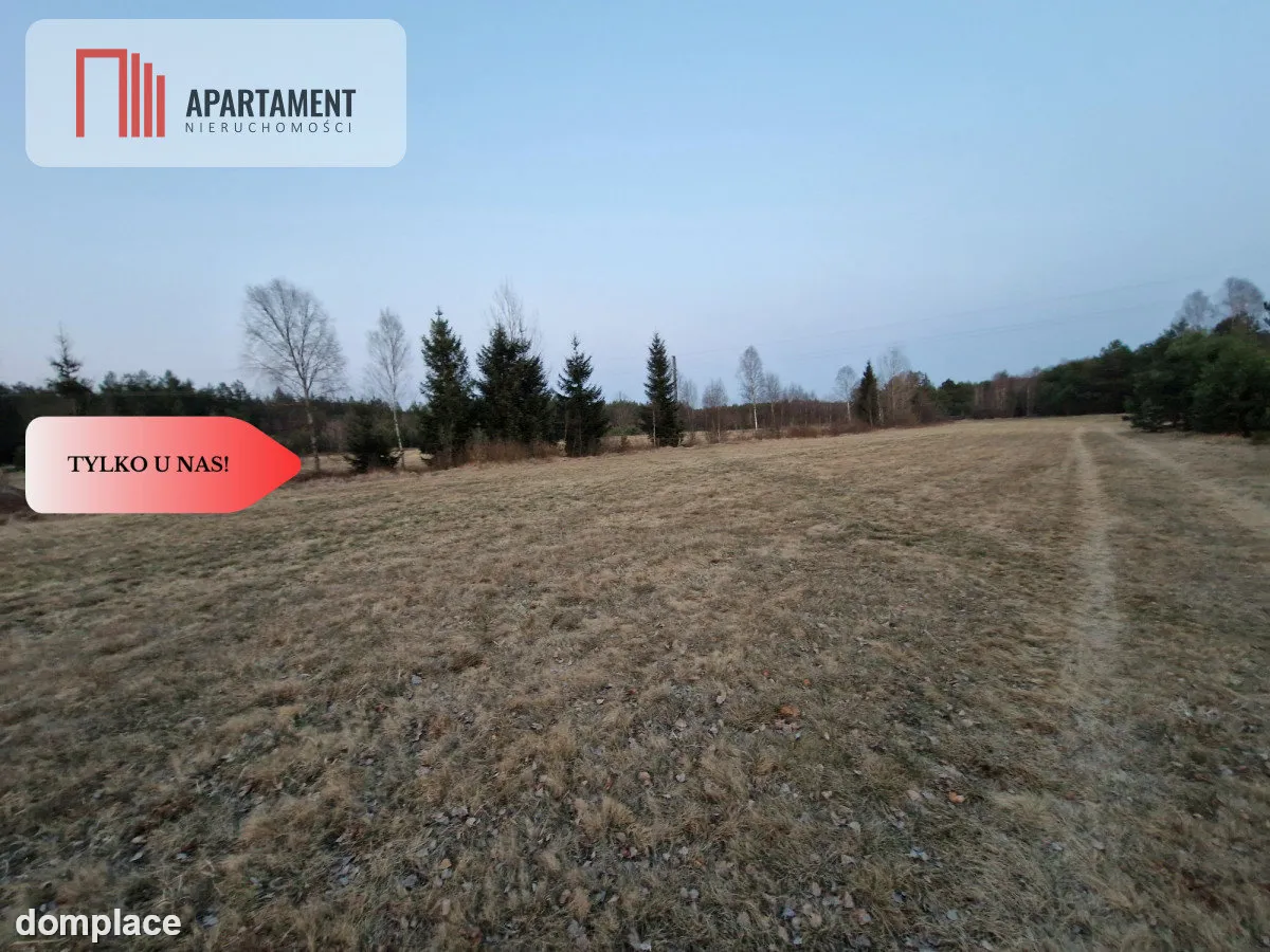 Spokojna okolica, blisko lasu! — zdjęcie 4