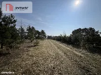 Dołgie, jezioro, las, media ,DZIAŁKI — zdjęcie 2