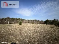 Dołgie, jezioro, las, media ,DZIAŁKI — zdjęcie 3