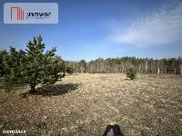 Dołgie, jezioro, las, media ,DZIAŁKI — zdjęcie 4