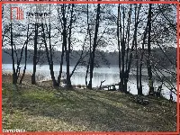 Dołgie, jezioro, las, media ,DZIAŁKI — zdjęcie 1