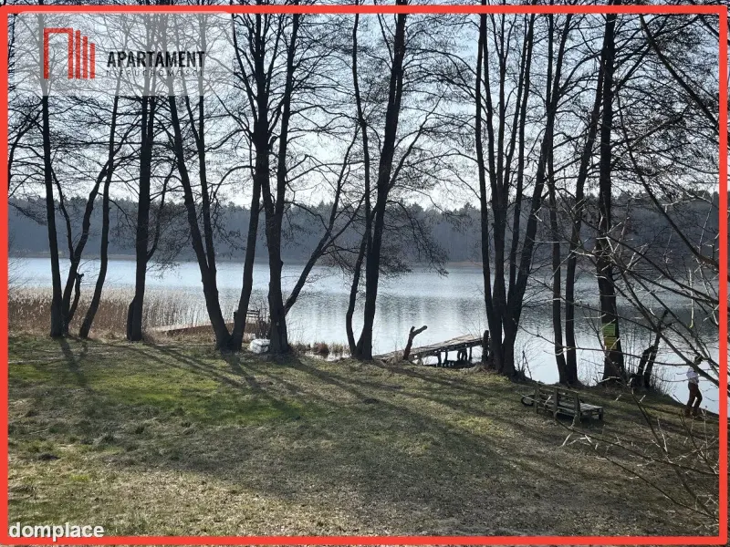 Dołgie, jezioro, las, media ,DZIAŁKI