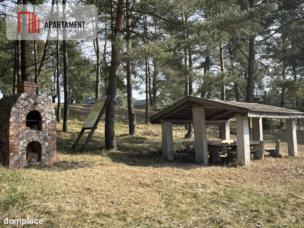 Dołgie, jezioro, las, media ,DZIAŁKI — zdjęcie 8