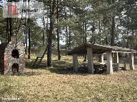 Dołgie, jezioro, las, media ,DZIAŁKI — zdjęcie 8