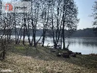 Dołgie, jezioro, las, media ,DZIAŁKI — zdjęcie 9