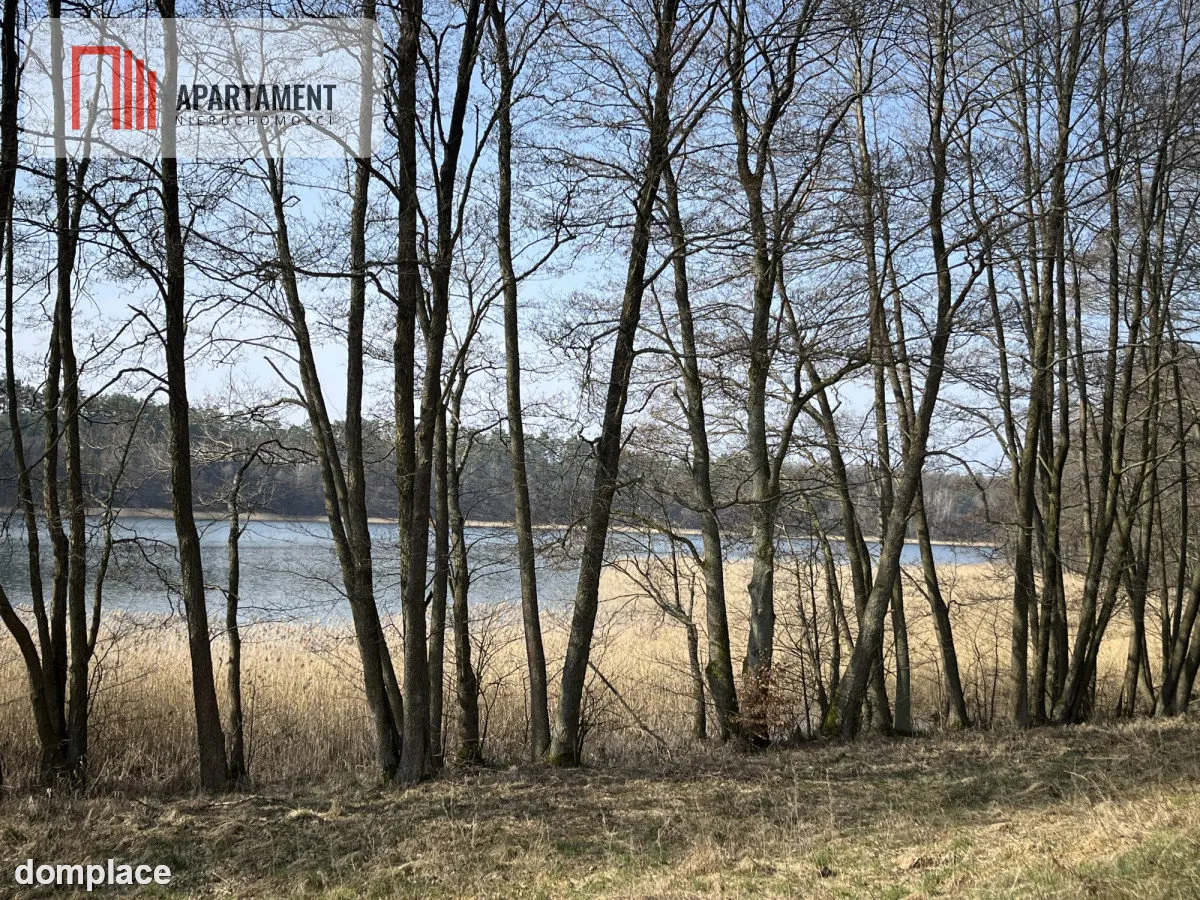 Dołgie, jezioro, las, media ,DZIAŁKI — zdjęcie 10