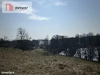 Dołgie, jezioro, las, media ,DZIAŁKI — zdjęcie 12