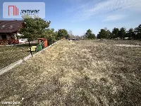 Dołgie, jezioro, las, media ,DZIAŁKI — zdjęcie 17