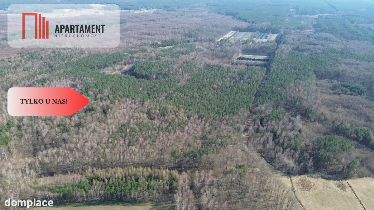 Działka budowlana 8700m2 WDA — zdjęcie 5