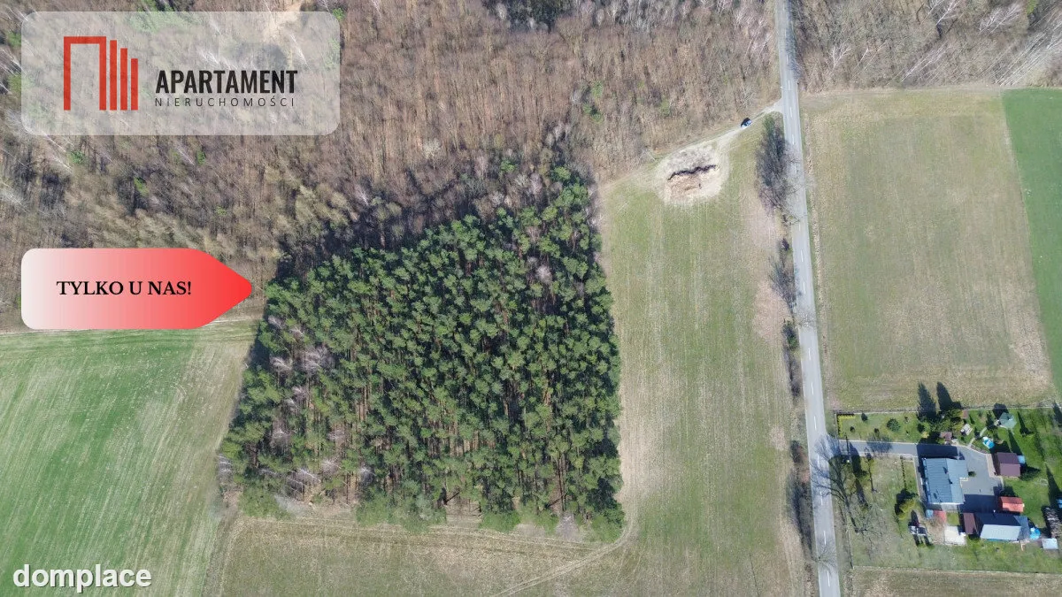 Działka budowlana 8700m2 WDA — zdjęcie 7