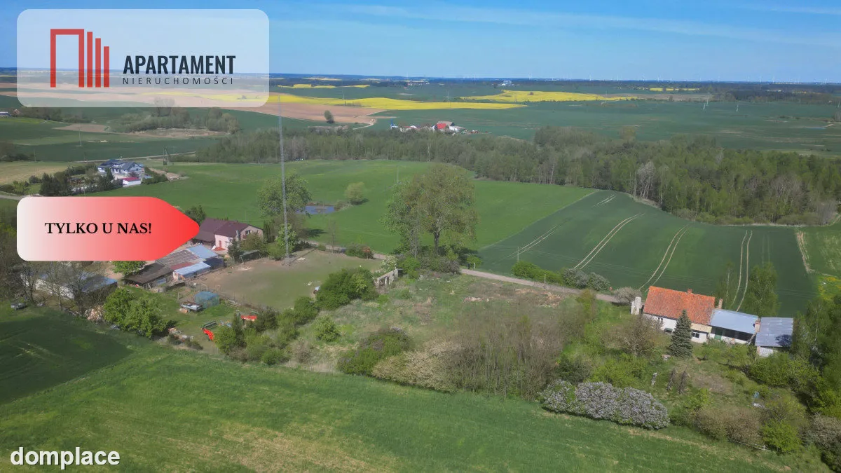 Nowa cena dla inwestora, gmina Gniew — zdjęcie 4