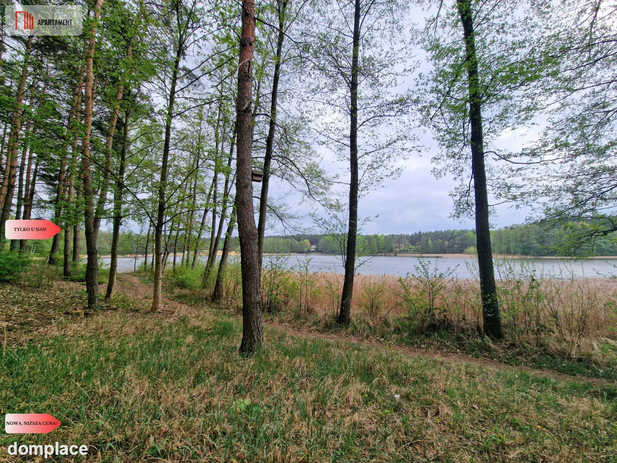 Działki z linią brzegową jeziora pod Toruniem — zdjęcie 6