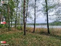 Działki z linią brzegową jeziora pod Toruniem — zdjęcie 6
