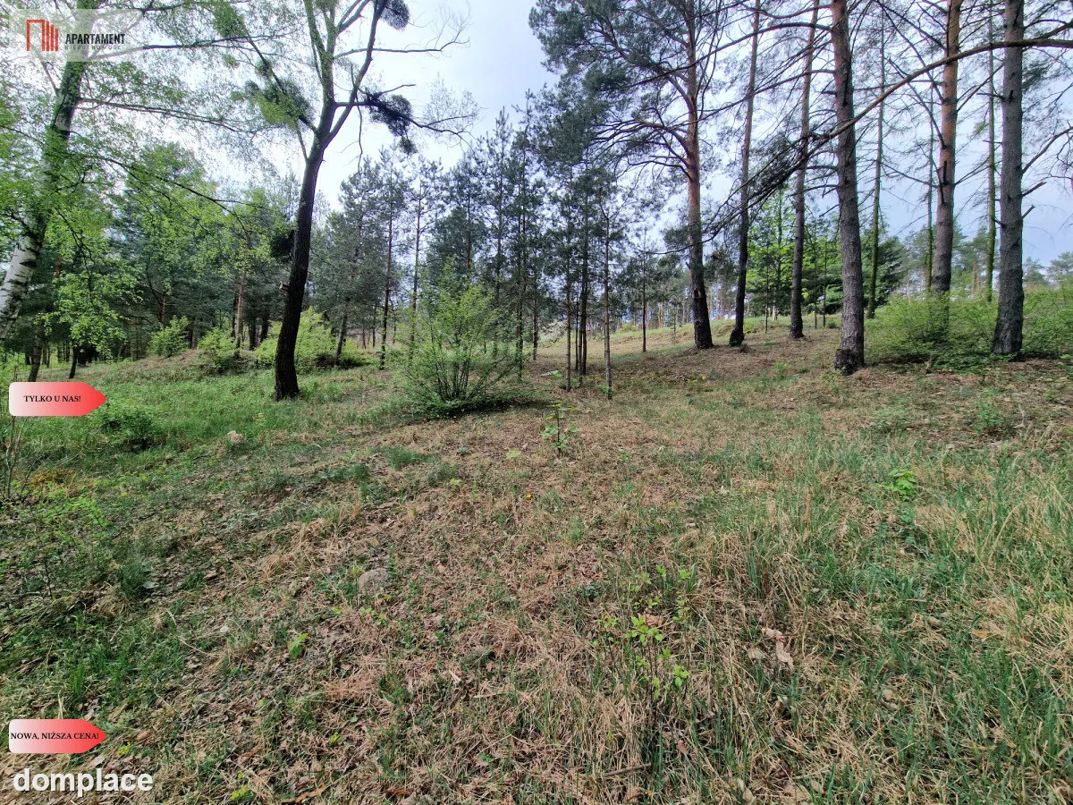 Działki z linią brzegową jeziora pod Toruniem — zdjęcie 7