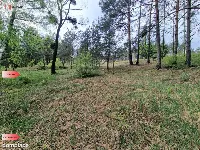 Działki z linią brzegową jeziora pod Toruniem — zdjęcie 7