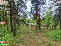 Działki z linią brzegową jeziora pod Toruniem — zdjęcie 11
