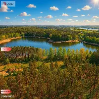 Działki z linią brzegową jeziora pod Toruniem — zdjęcie 1