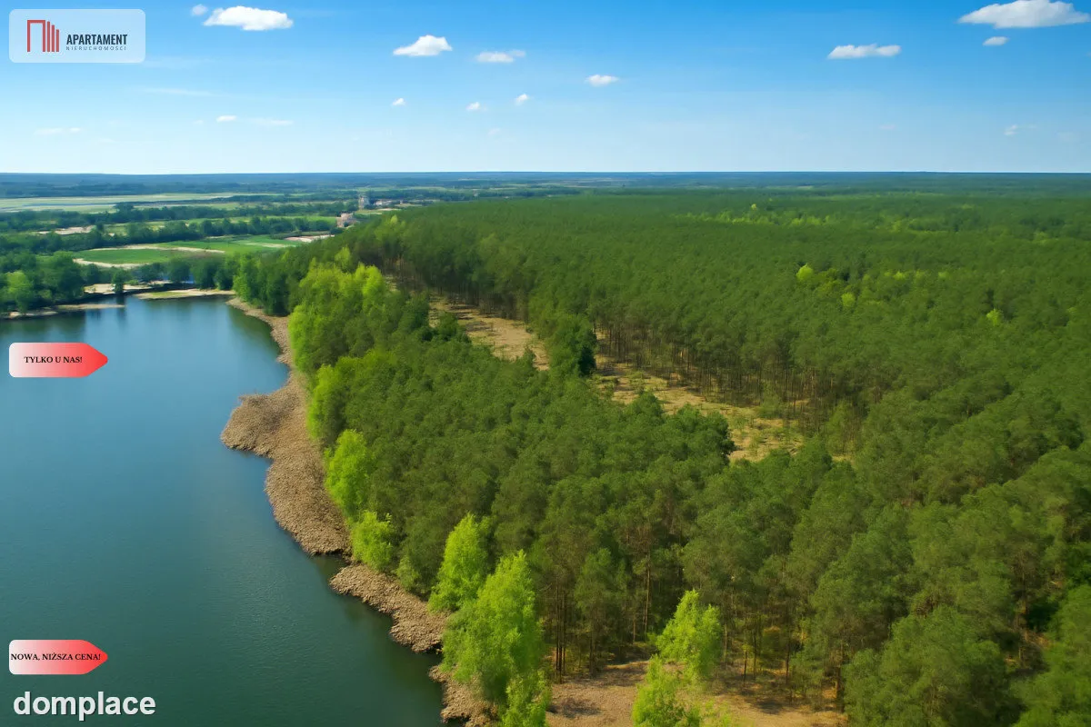 Działki z linią brzegową jeziora pod Toruniem — zdjęcie 3