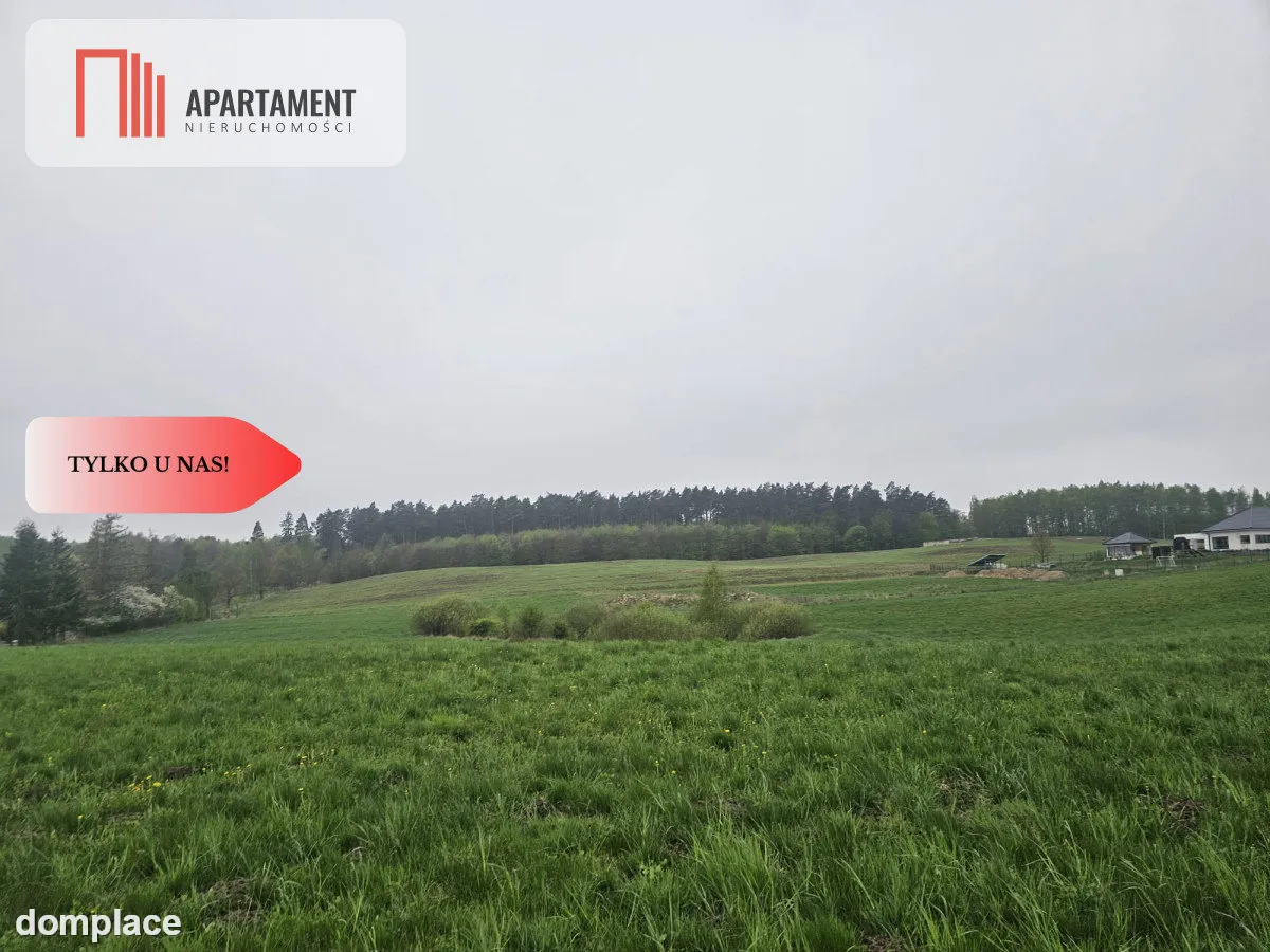 RYWAŁD- działka budowlana 3119m2 — zdjęcie 2
