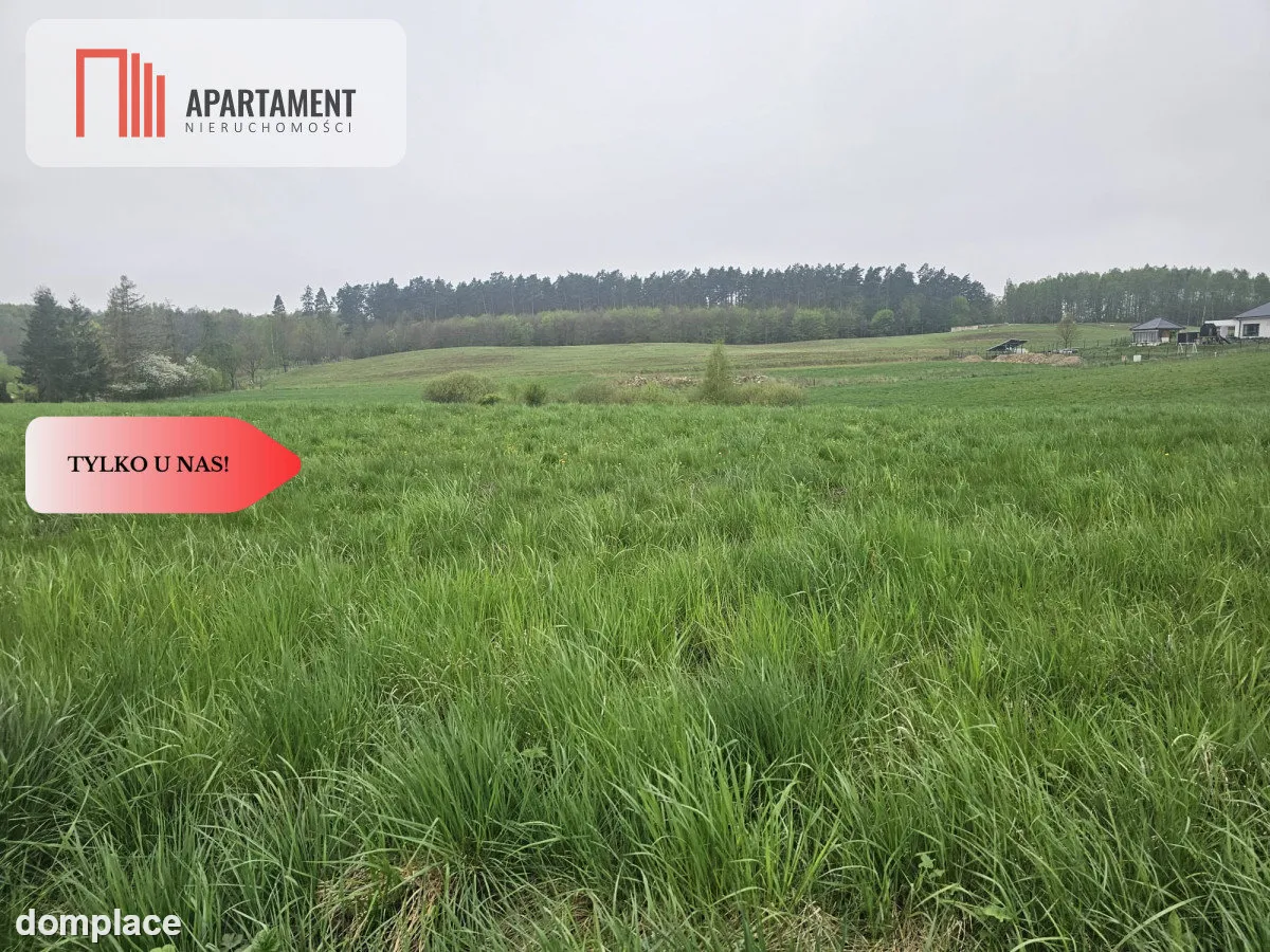 RYWAŁD- działka budowlana 3119m2 — zdjęcie 3