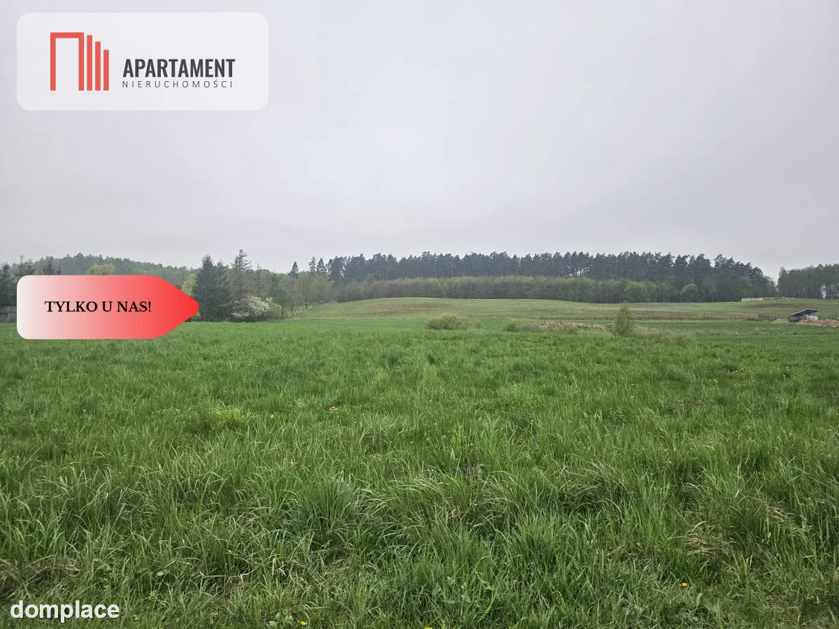 RYWAŁD- działka budowlana 3119m2 — zdjęcie 7