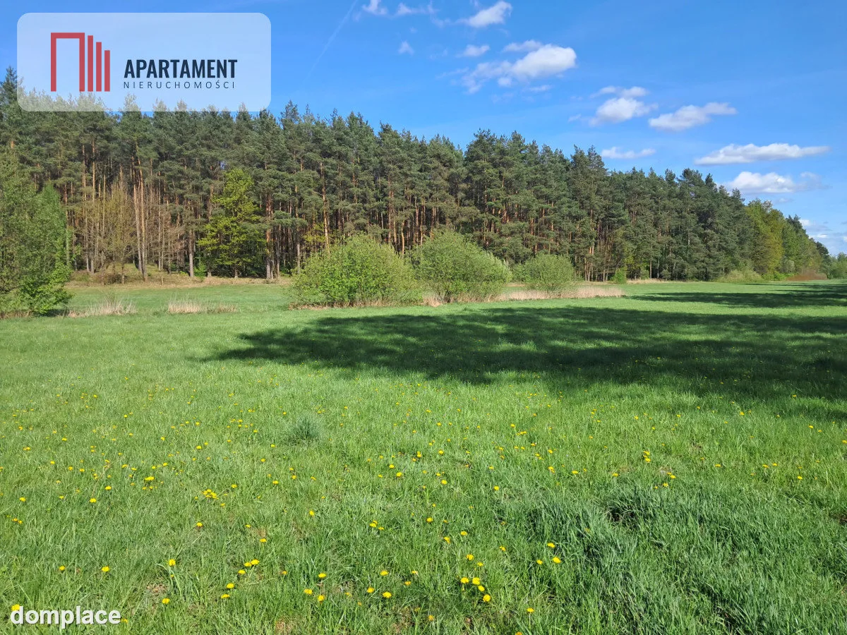 Dwie działki rolne – 2,2 ha, Górzna — zdjęcie 2