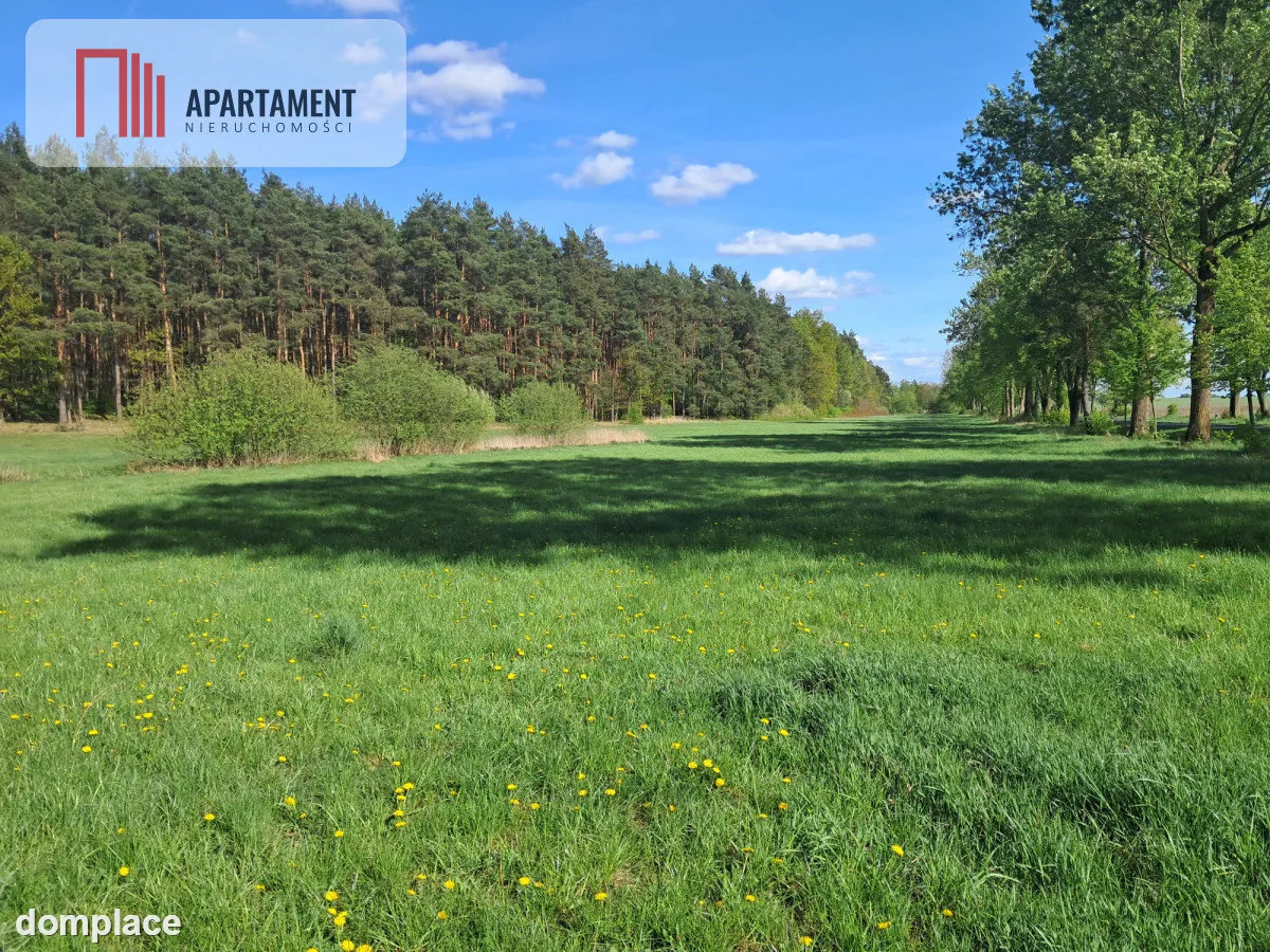 Dwie działki rolne – 2,2 ha, Górzna — zdjęcie 3