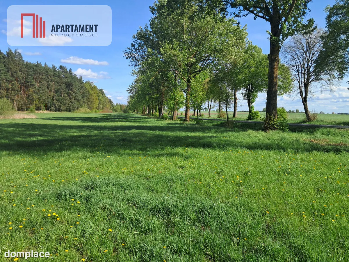 Dwie działki rolne – 2,2 ha, Górzna — zdjęcie 4