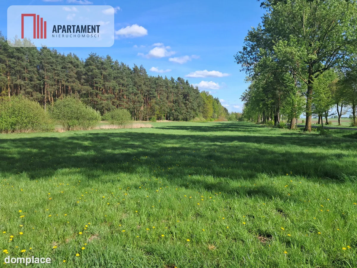 Dwie działki rolne – 2,2 ha, Górzna — zdjęcie 5