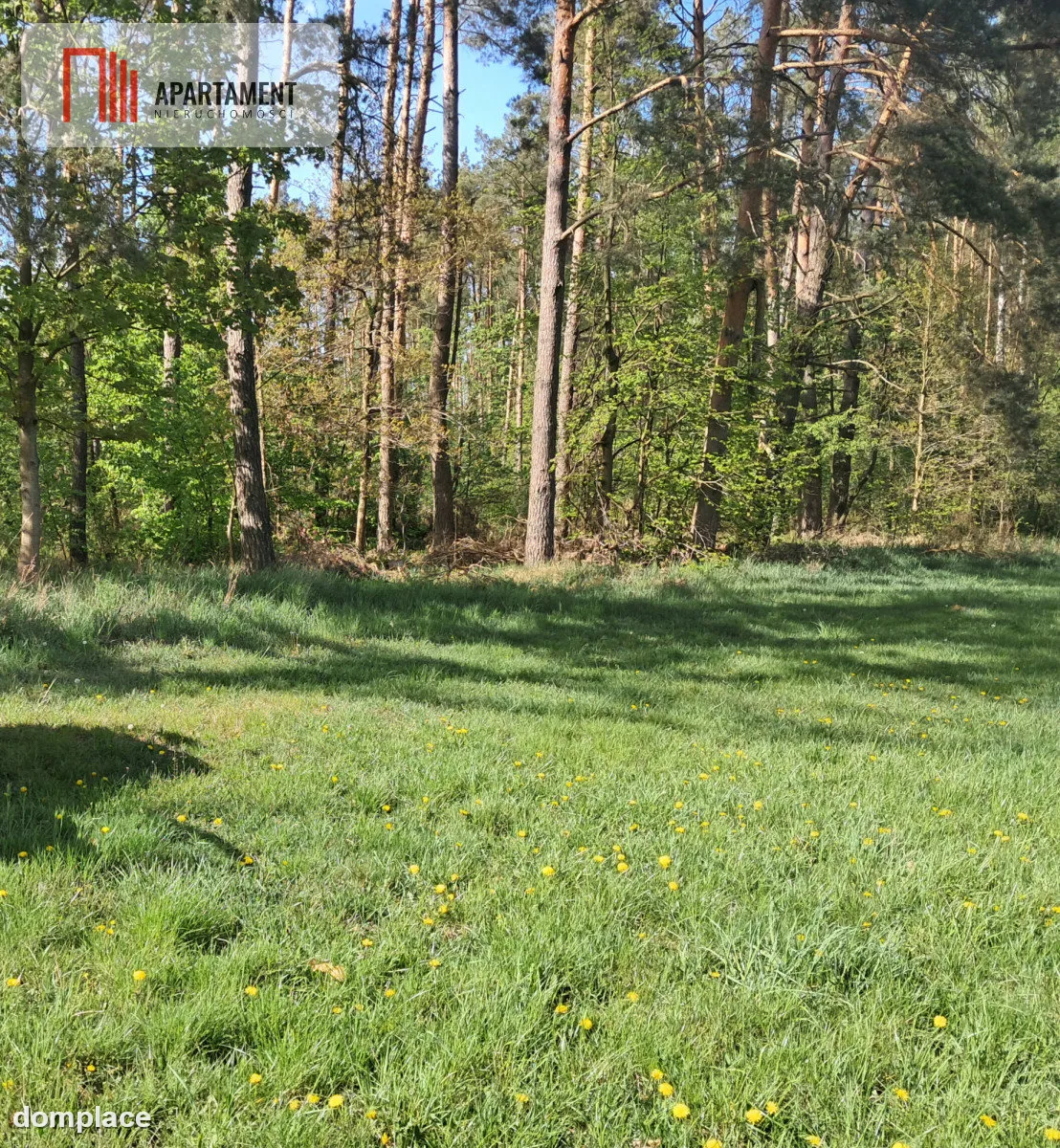 Dwie działki rolne – 2,2 ha, Górzna — zdjęcie 6
