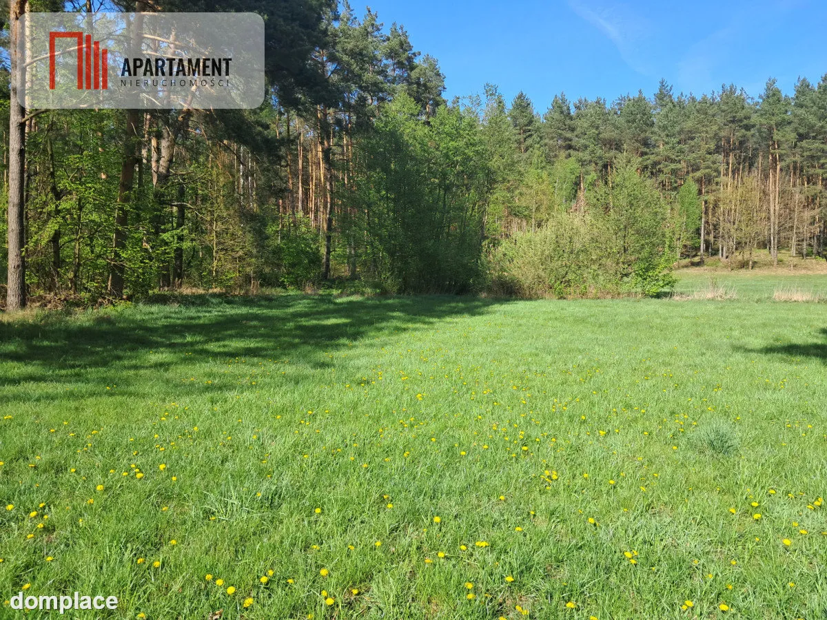 Dwie działki rolne – 2,2 ha, Górzna — zdjęcie 7