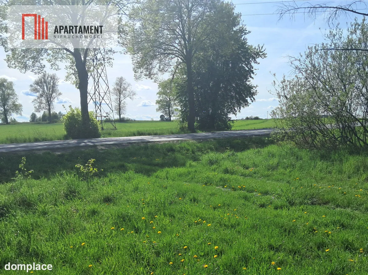 Dwie działki rolne – 2,2 ha, Górzna — zdjęcie 8
