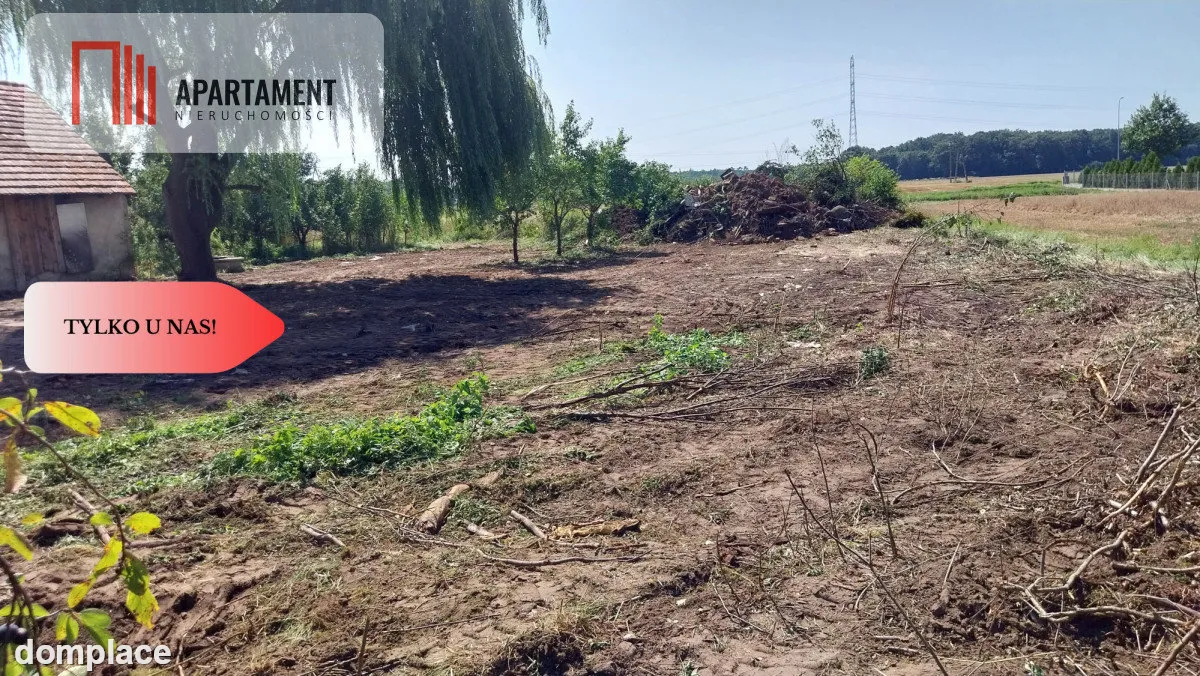 Dom do  remontu na działce 18a blisko lasu! — zdjęcie 3