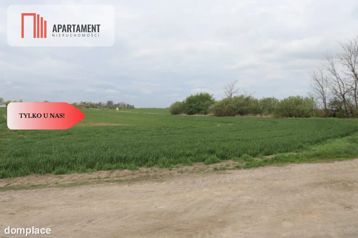 Duża działka 1,15 ha z zabudowaniami — zdjęcie 3