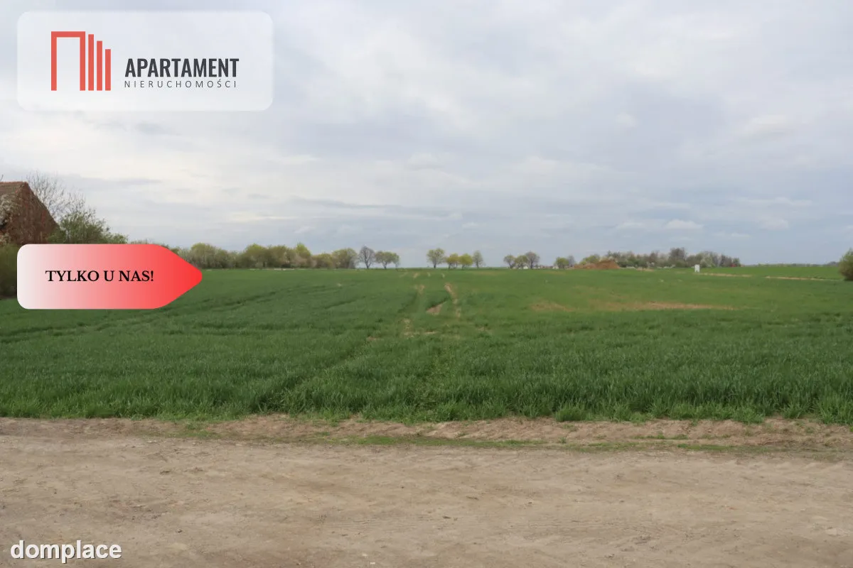 Duża działka 1,15 ha z zabudowaniami