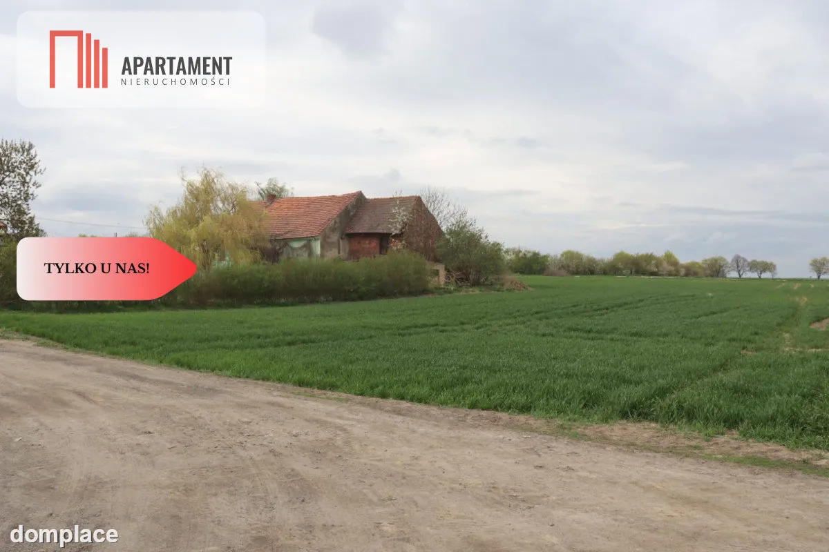 Duża działka 1,15 ha z zabudowaniami — zdjęcie 2