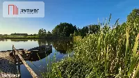 Działki wraz ze stawem — zdjęcie 4