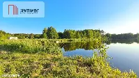 Działki wraz ze stawem — zdjęcie 10