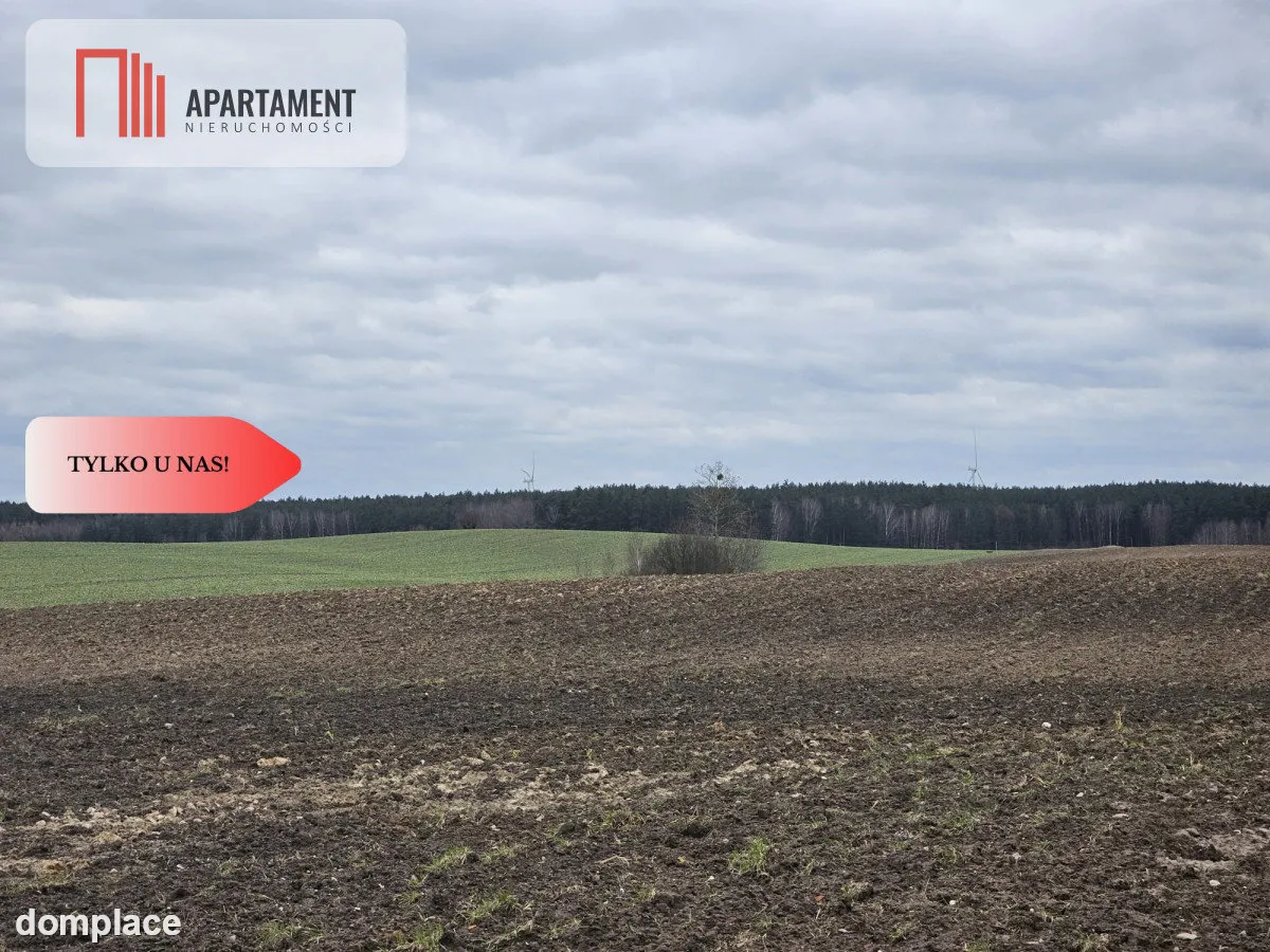Tylko u nas - działka rolna! — zdjęcie 2