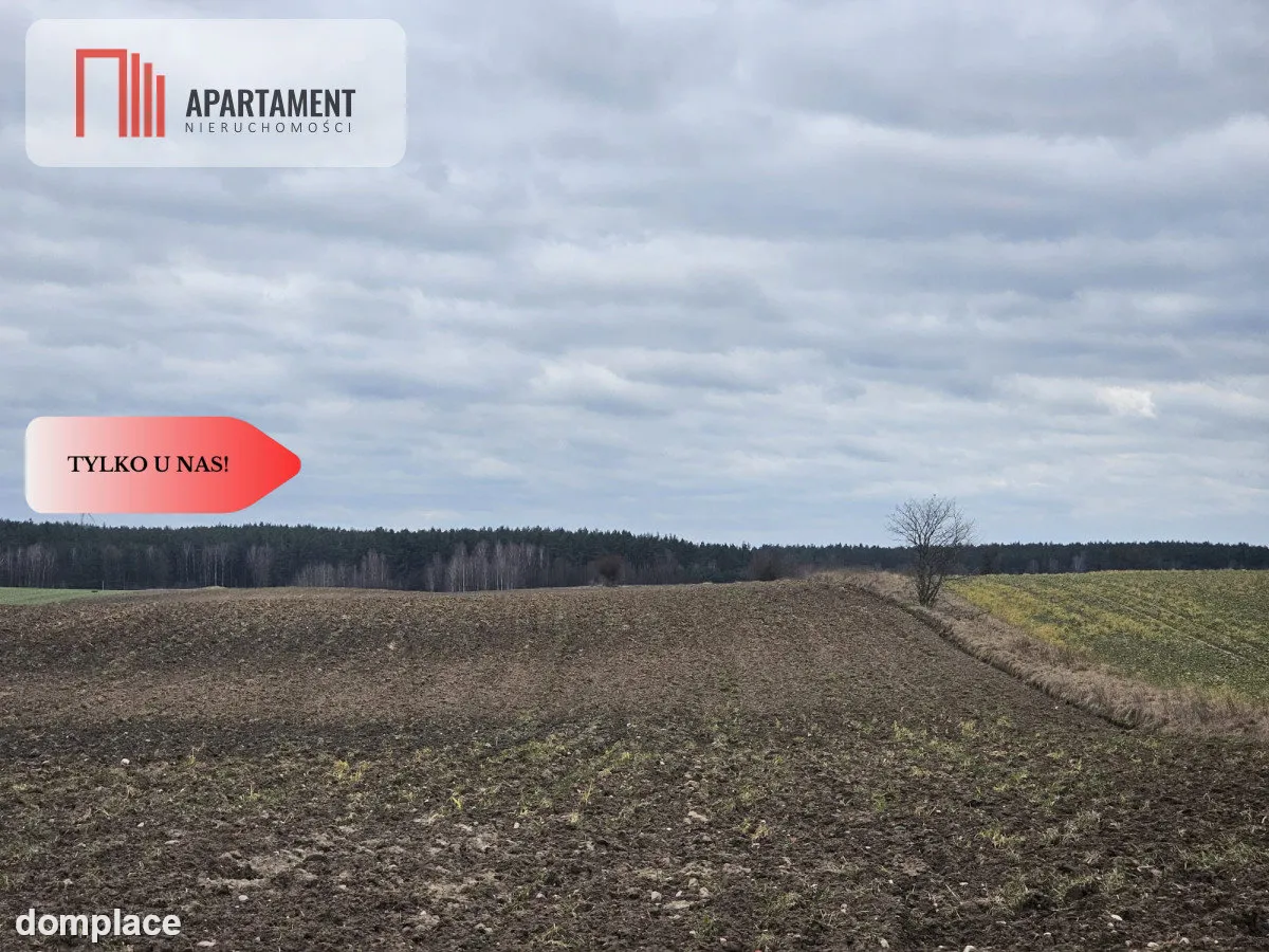 Tylko u nas - działka rolna! — zdjęcie 3