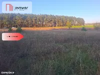 TYLKO U NAS !!! ATRAKCYJNA DZIALKA WSRÓD LASU — zdjęcie 2