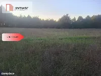TYLKO U NAS !!! ATRAKCYJNA DZIALKA WSRÓD LASU — zdjęcie 3