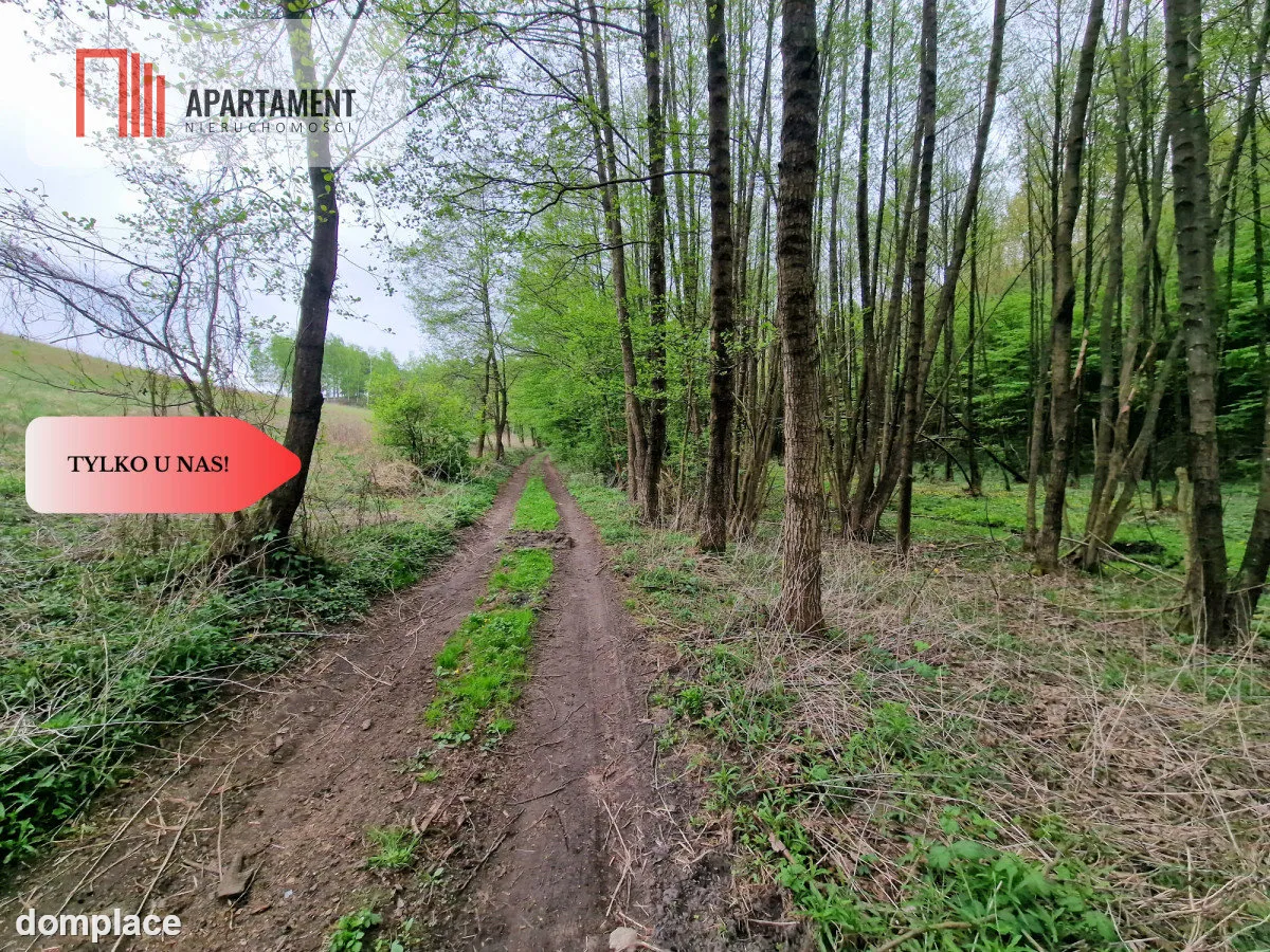 Gospodarstwo w głuszy! Las! Rzeka!