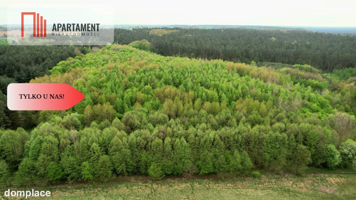 Gospodarstwo w głuszy! Las! Rzeka! — zdjęcie 8