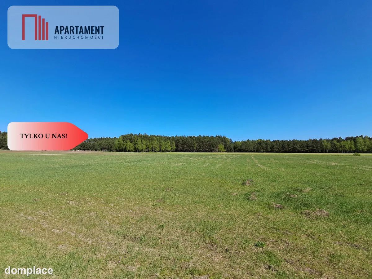 * Działka w gminie Łabiszyn — zdjęcie 4