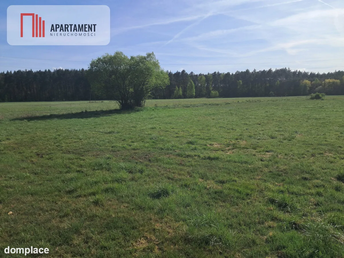 Działki rolne 2,06 ha – Górzna k. Złotowa — zdjęcie 4