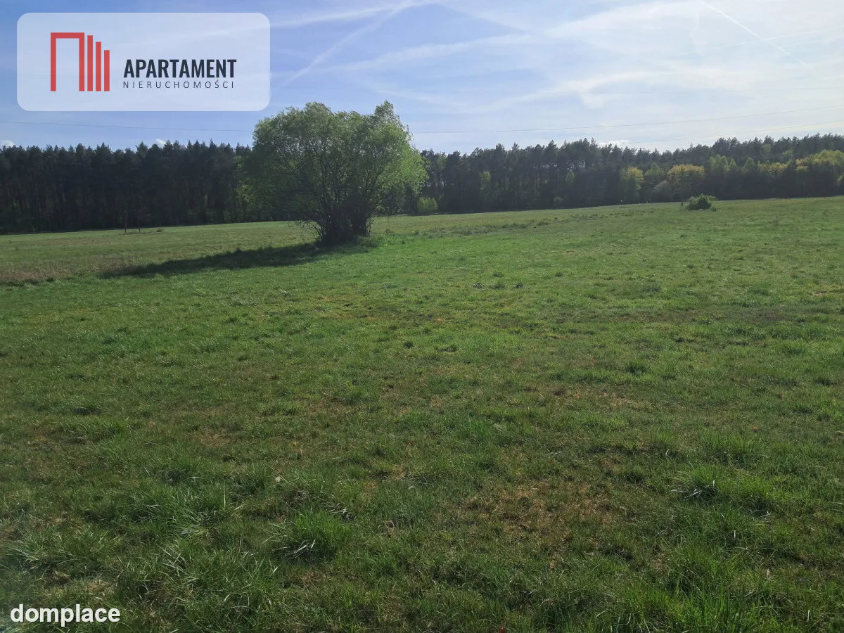 Działki rolne 2,06 ha – Górzna k. Złotowa — zdjęcie 6