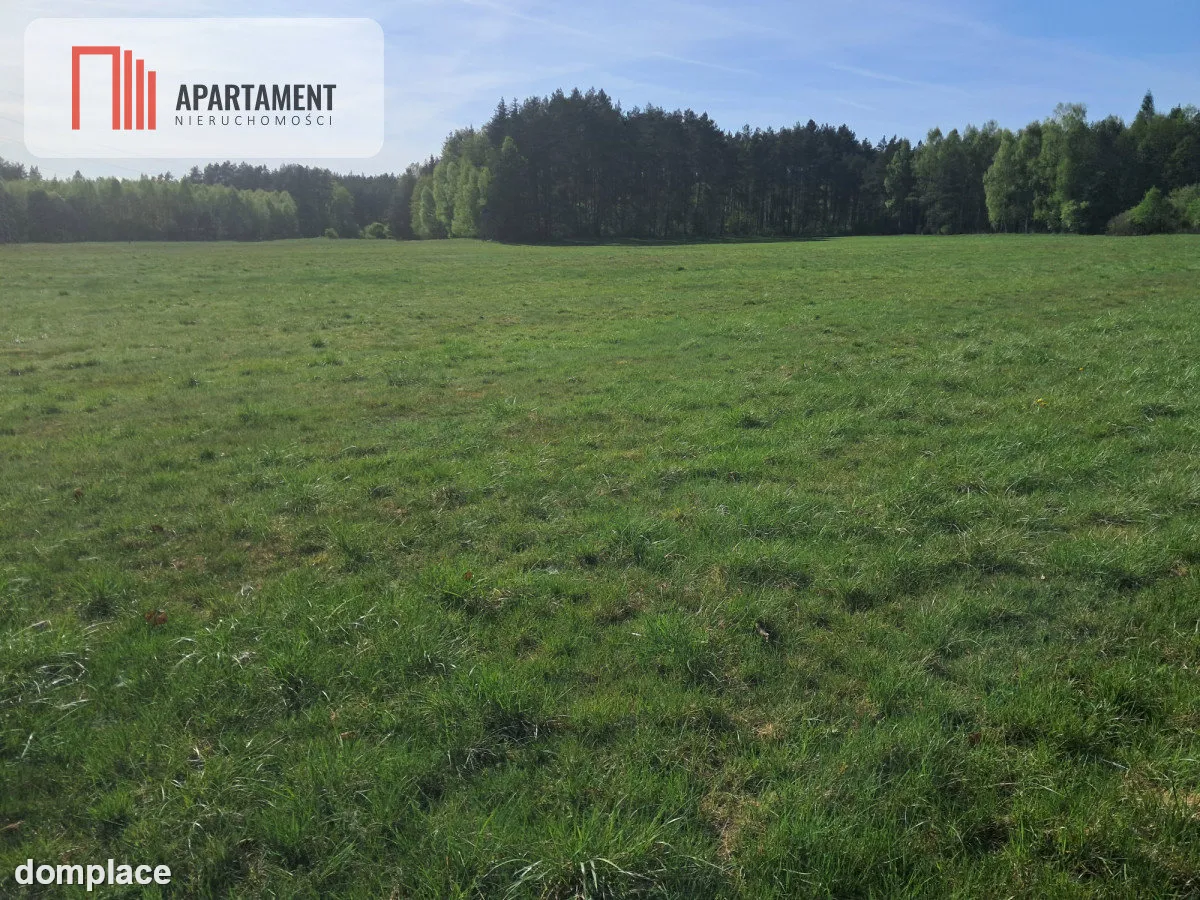 Działki rolne 2,06 ha – Górzna k. Złotowa — zdjęcie 2