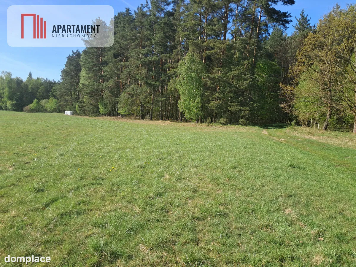 Działki rolne 2,06 ha – Górzna k. Złotowa — zdjęcie 7