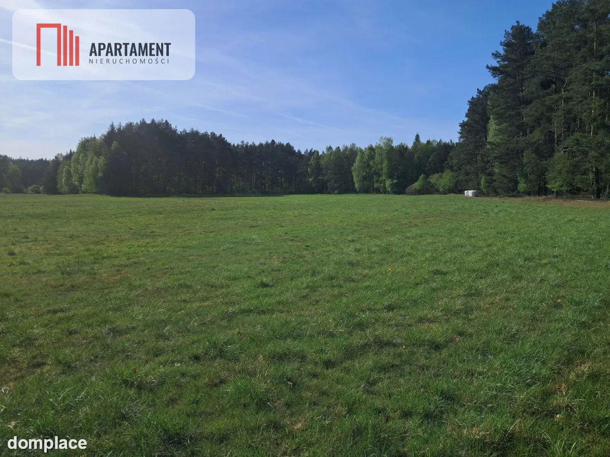 Działki rolne 2,06 ha – Górzna k. Złotowa — zdjęcie 8